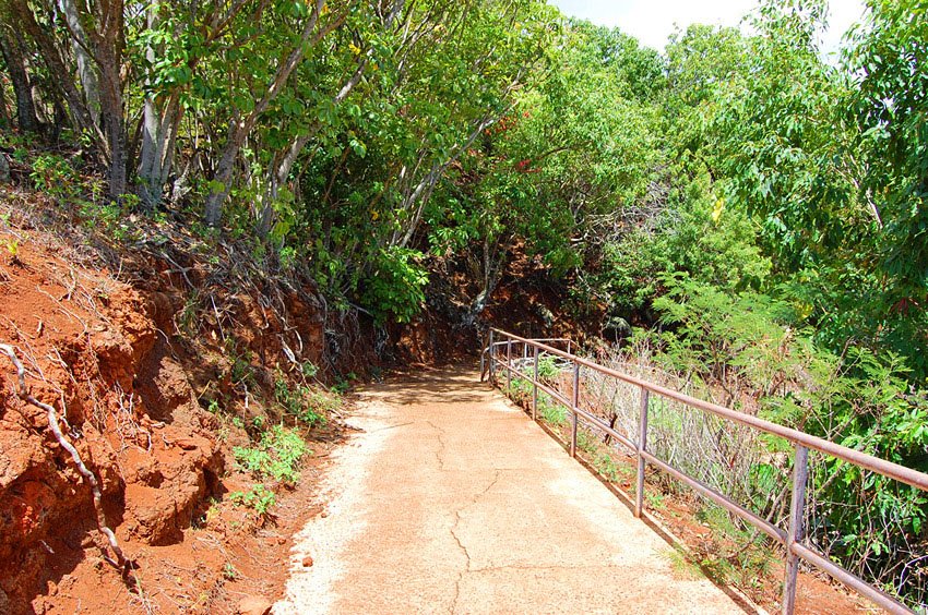 Walkway near the heiau