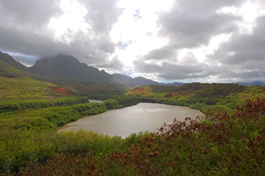 Menehune (Alekoko) Fishpond