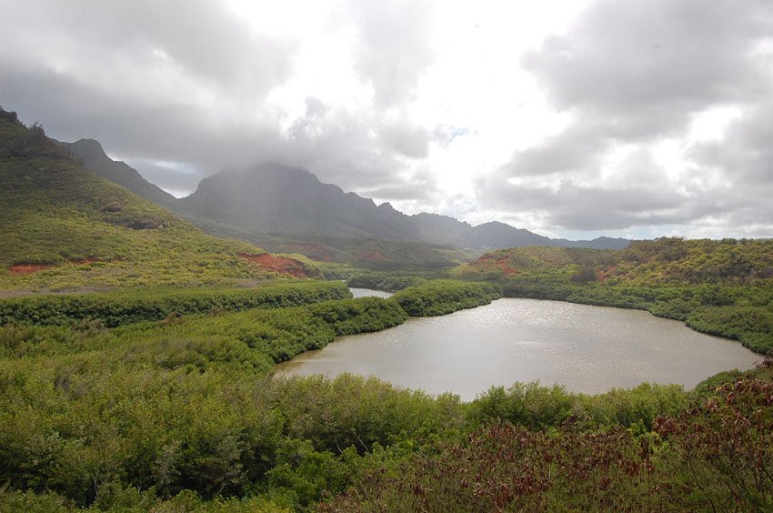 Mystic Kauai location