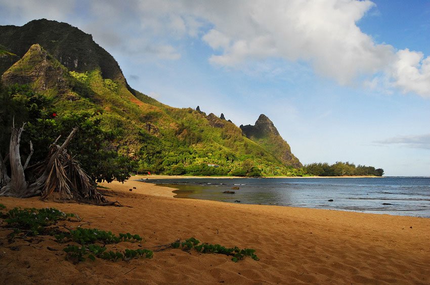 View from Tunnels Beach