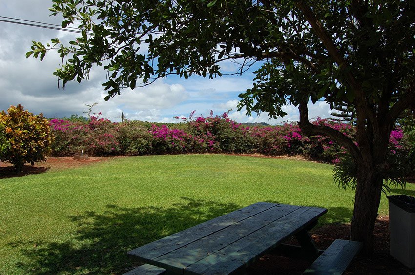 Nice picnic area