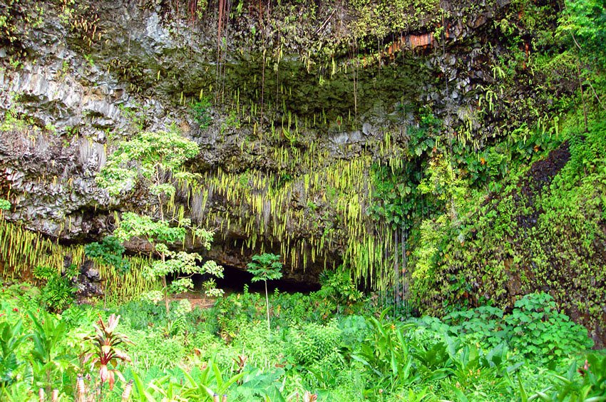 Fern Grotto