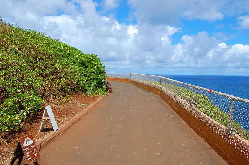 Walkway to the lighthouse