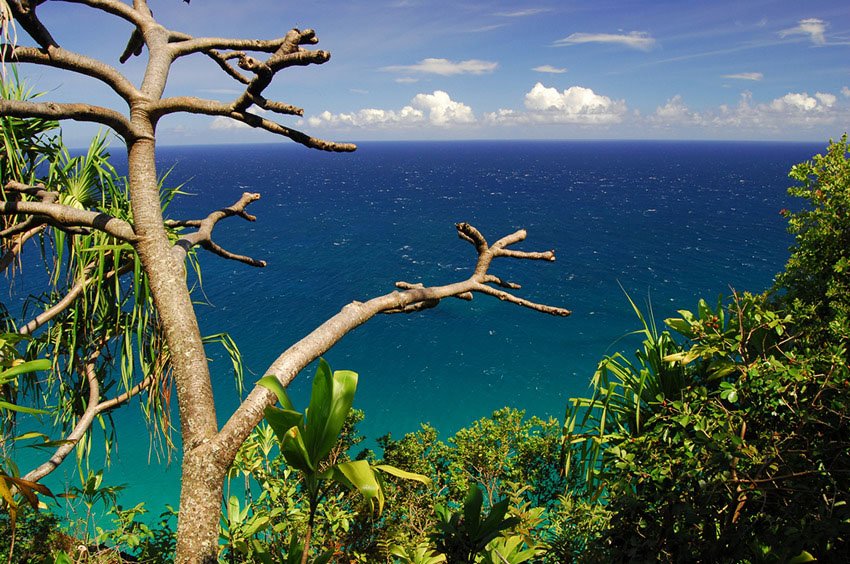 View to the Pacific Ocean