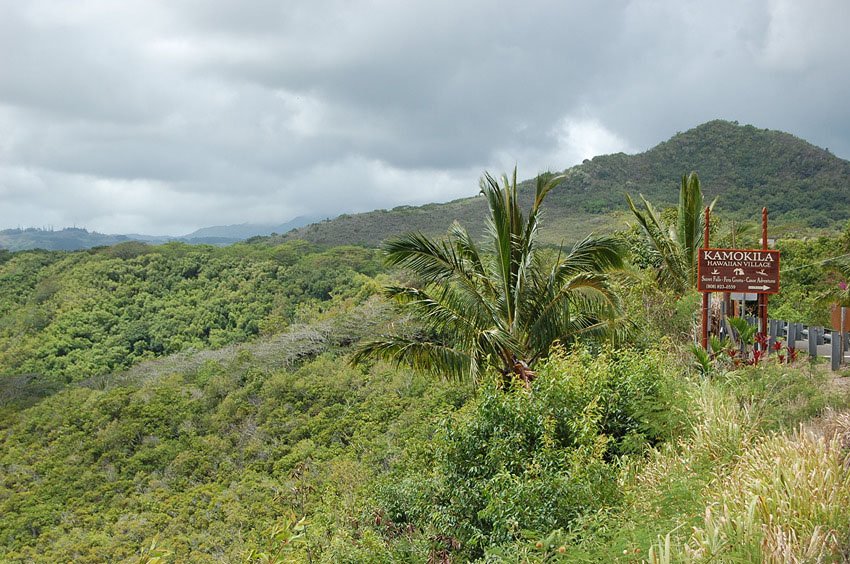 Lush vegetation on Kauai