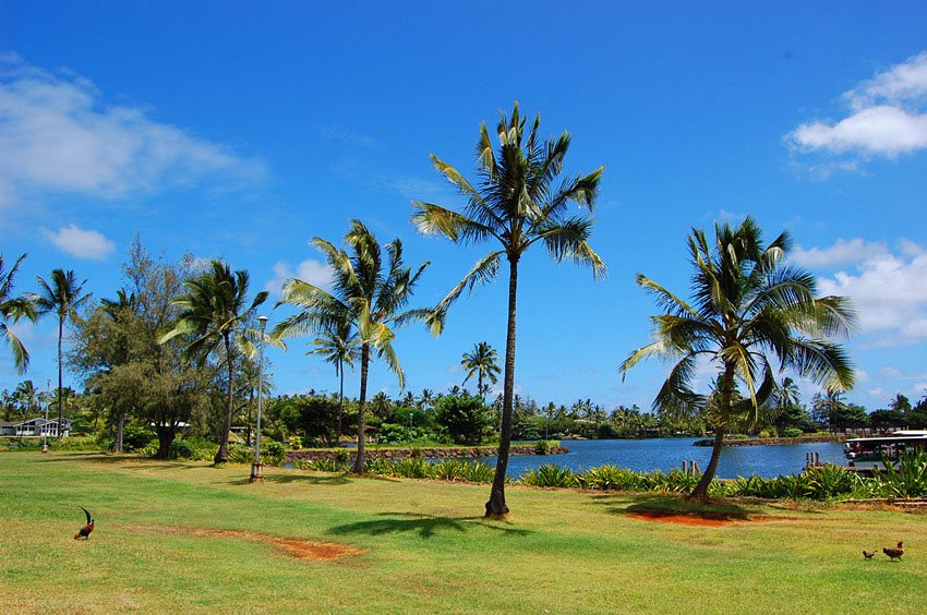 Wailua marina