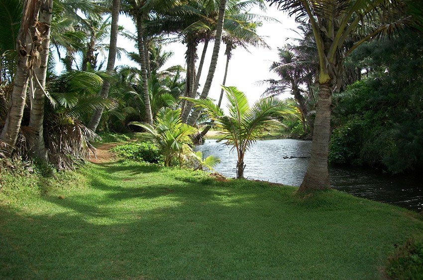 North Aliomanu beach access