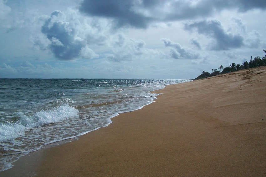 Sandy part of shoreline