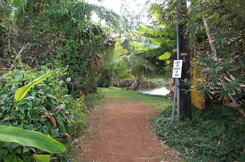 Start of the beach access trail