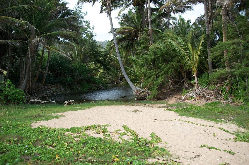 Where the trail meets the beach