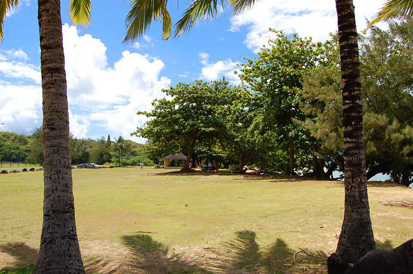 Spacious beach park