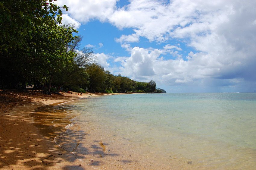 Nice family beach