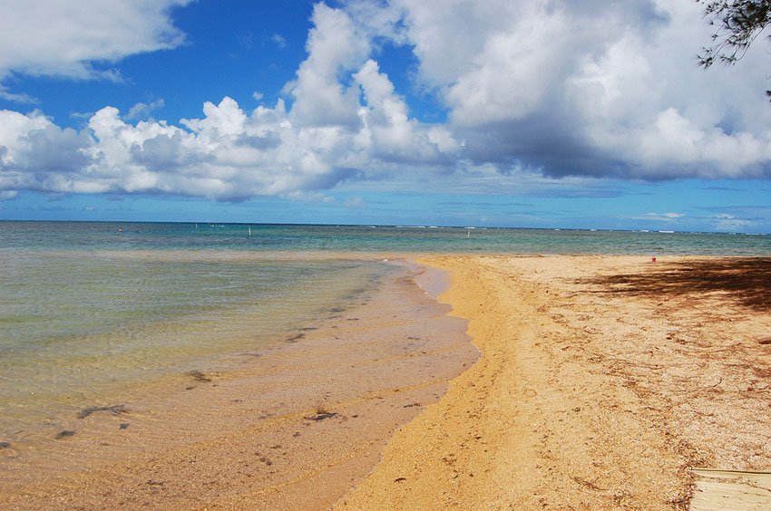 Shallow nearshore waters