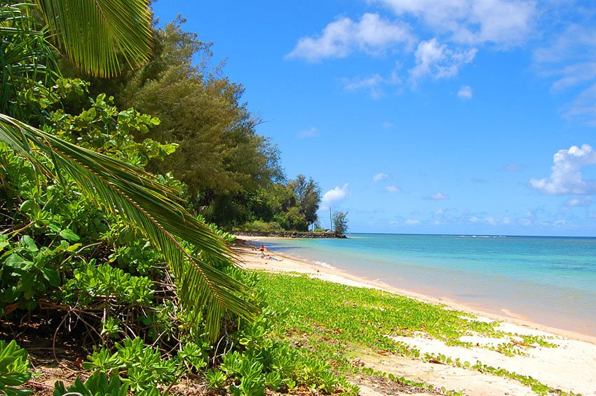 Sunny day on Anini Beach