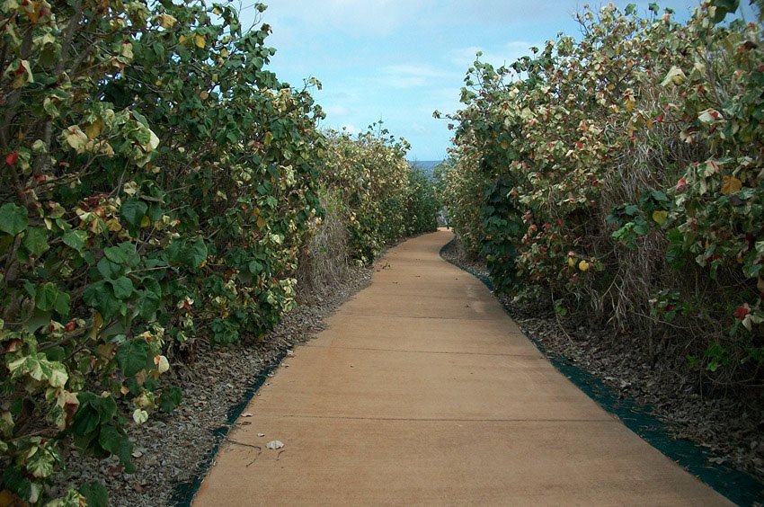 Donkey Beach access path