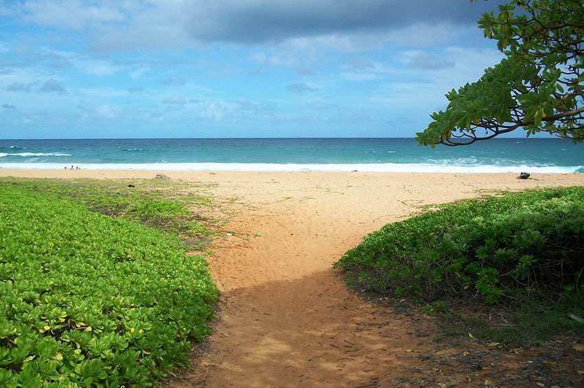 End of the beach trail