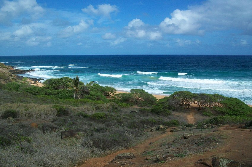 Overlooking Donkey Beach