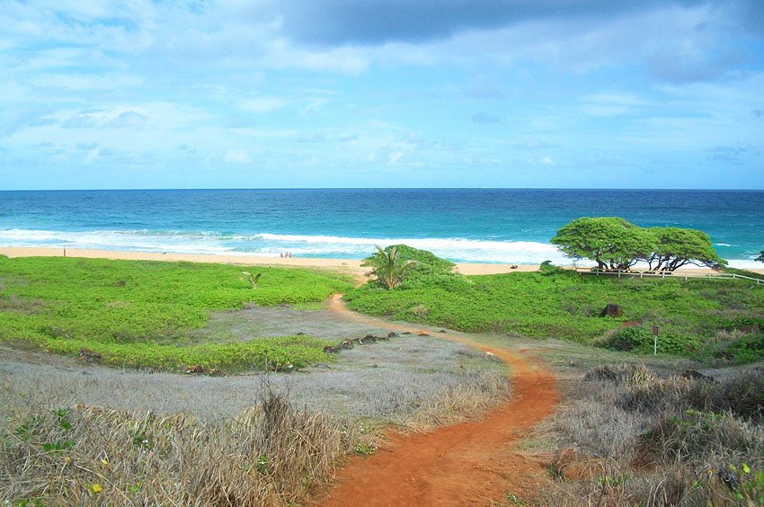 Trail leading to Donkey Beach