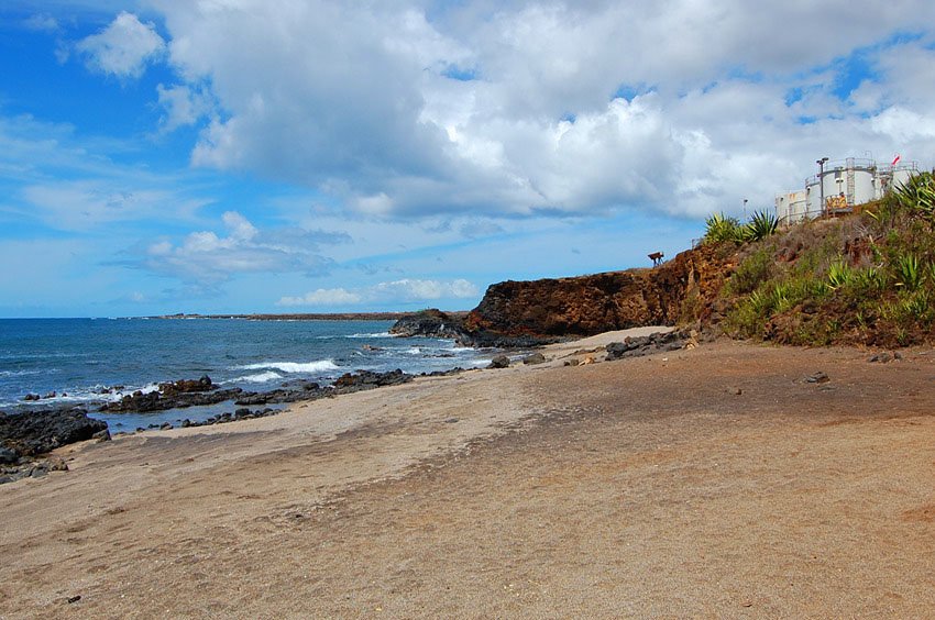 Beach without shade