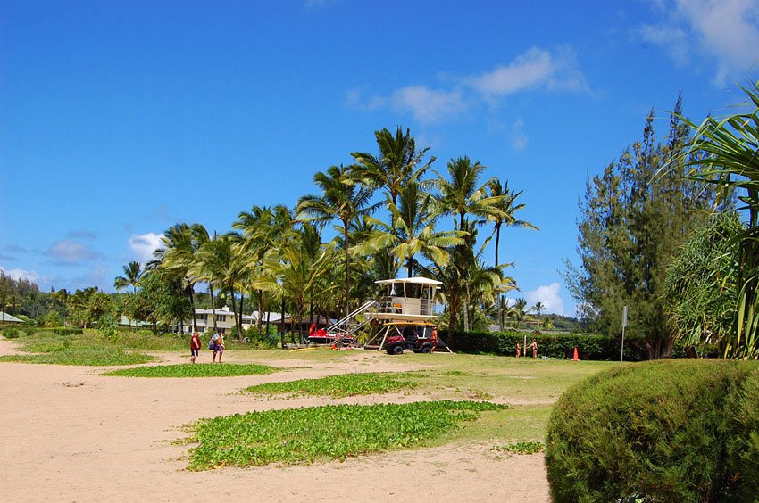 Lifeguard tower