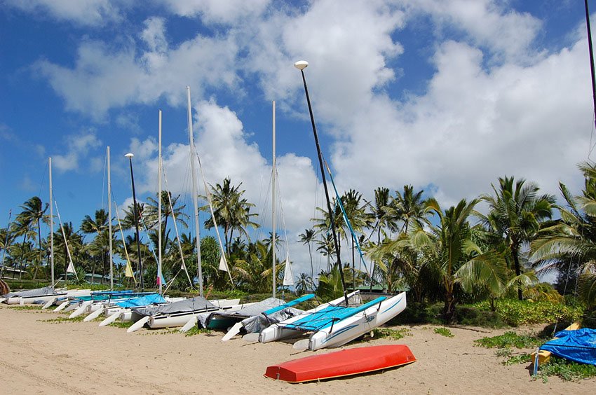 Parked boats