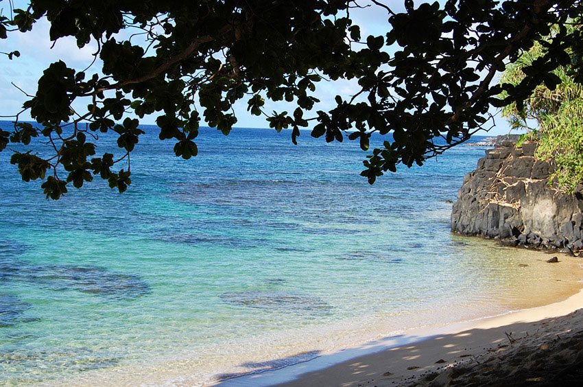 Backed by sea cliffs