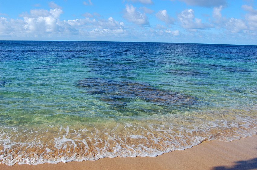 Beautiful coral reef