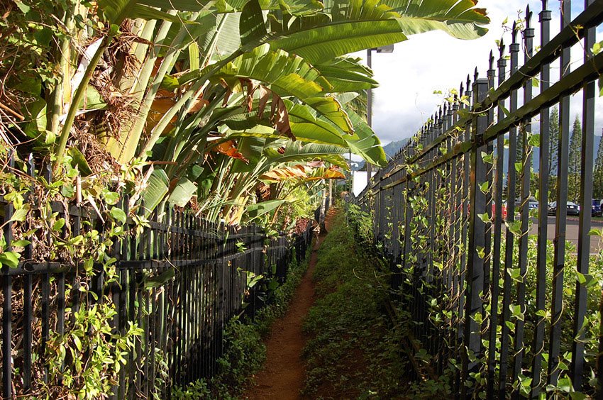 Start of the trail to Hideaways Beach