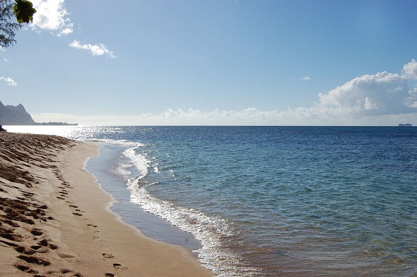 Stroll on the beach