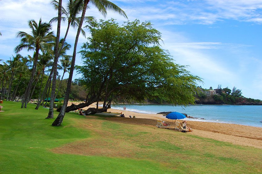 Beach has plenty of room