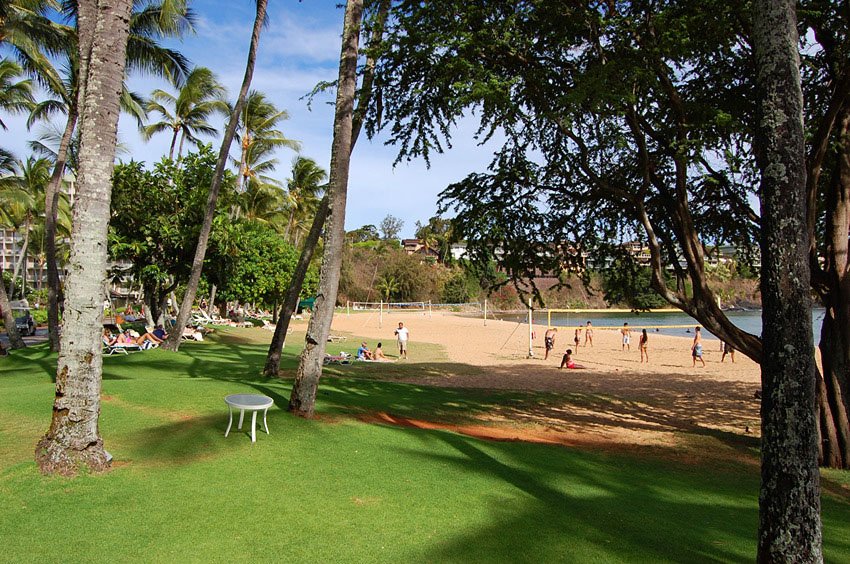 Beach has shade