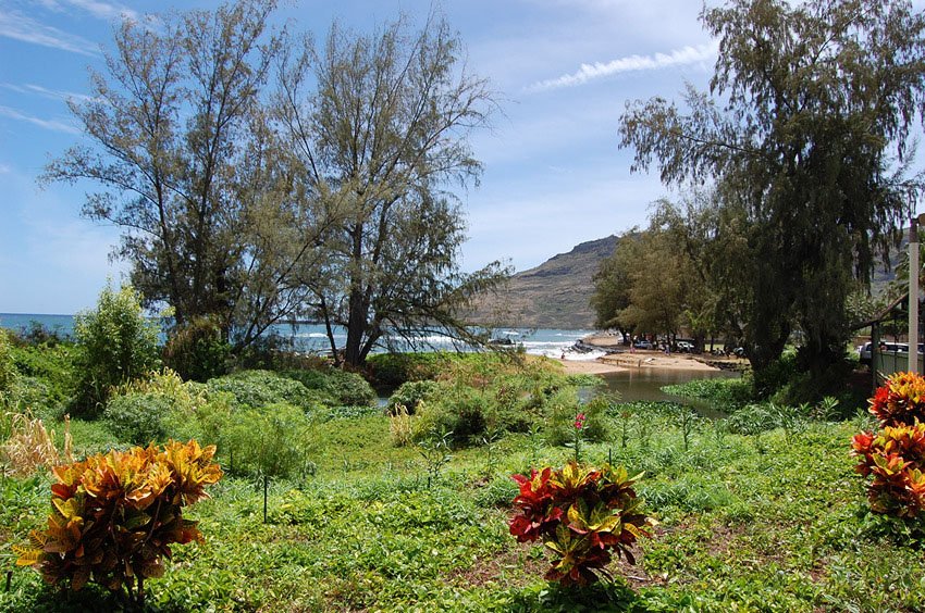 View to Nawiliwili Stream