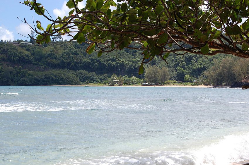 Kalihiwai Beach in the distance