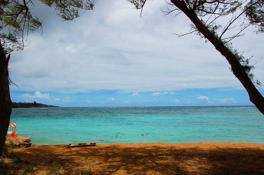 View from a shady spot