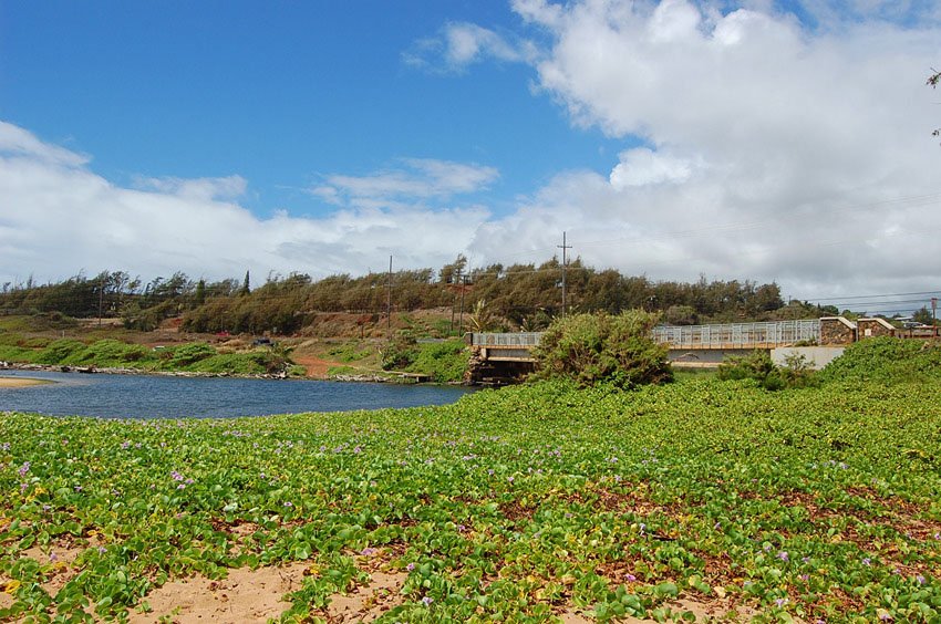 Bridge over Kapa'a Stream