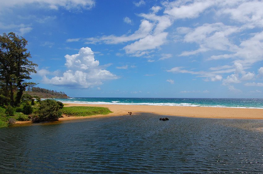 Mouth of Kapa'a Stream