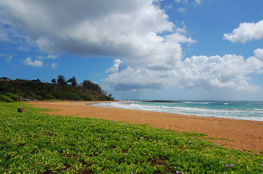 Northern end of Kealia Beach