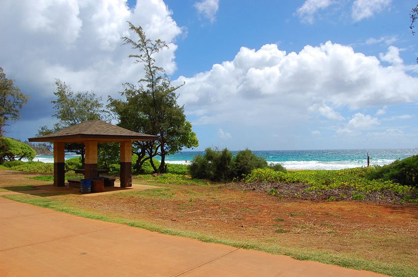 Sheltered picnic table