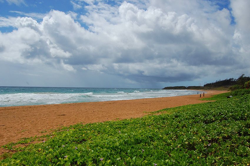 Southern end of Kealia Beach