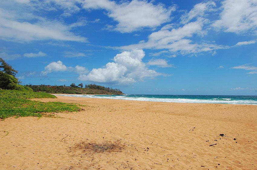 Wide beach