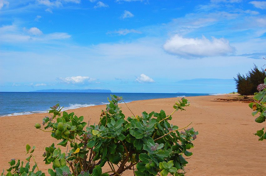 Kekaha Beach Park