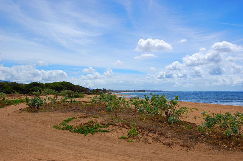 Wide stretch of the beach