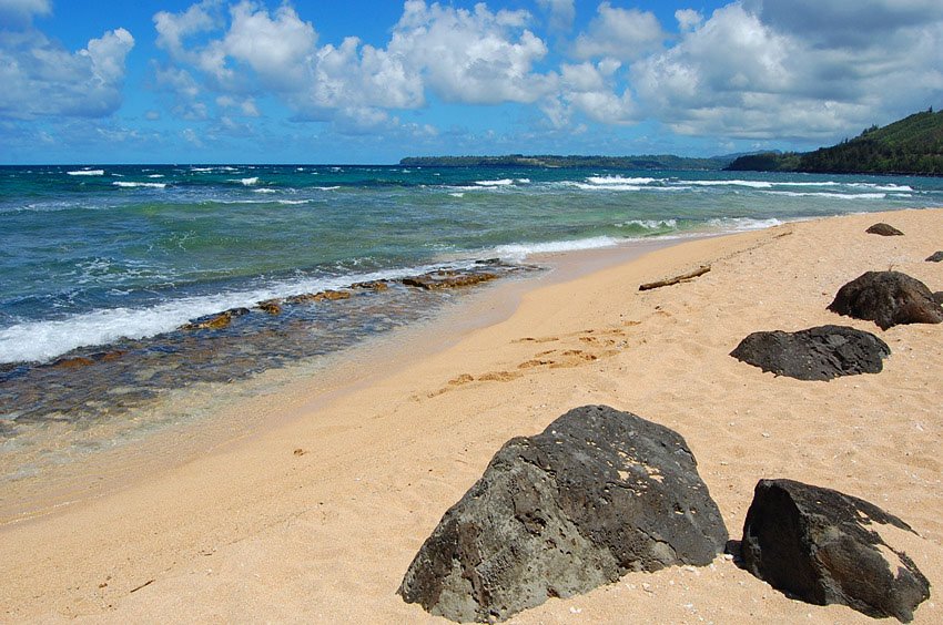 Black lava rocks on the beach