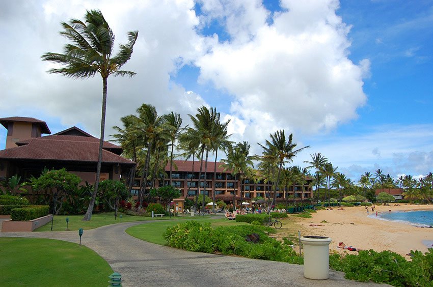 Beach walkway