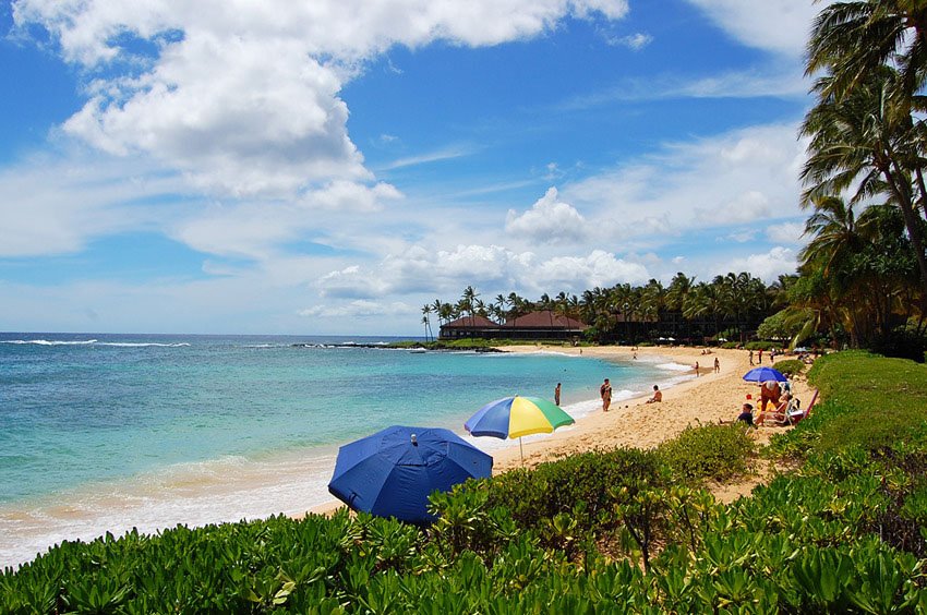 People enjoying the beach