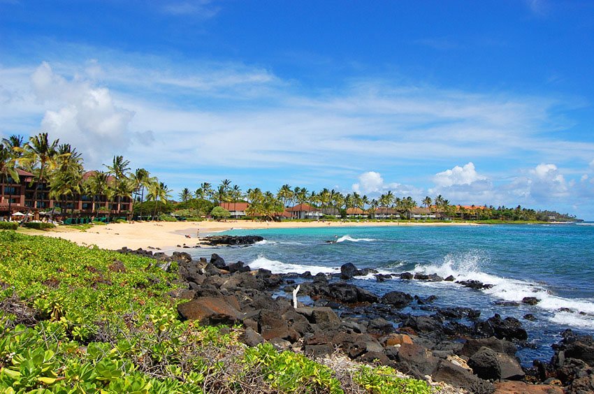 White sands and black lava rocks