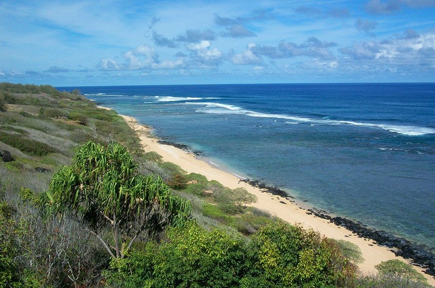 Larsen's Beach (Ka'aka'aniu Beach)