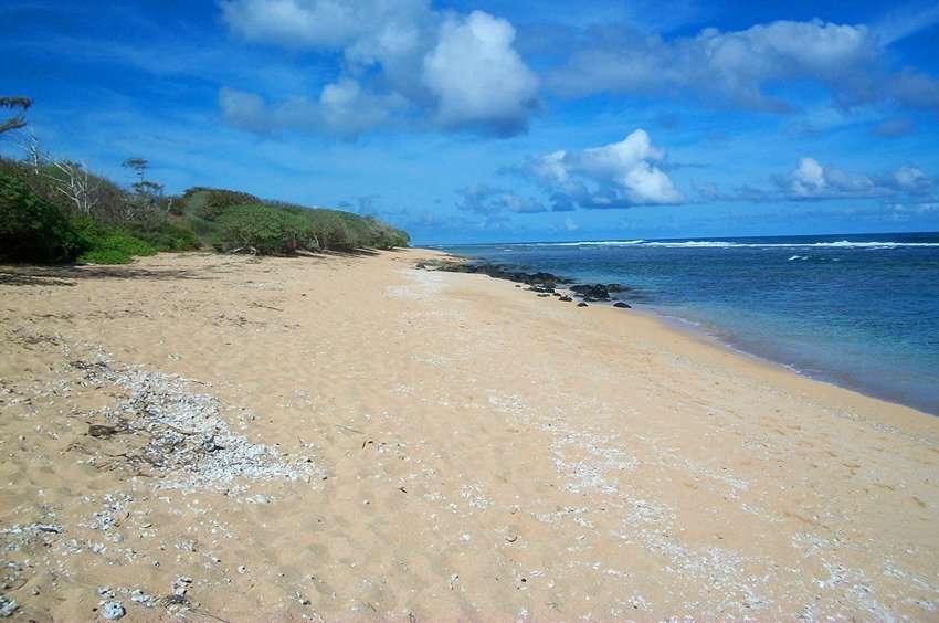 Larsen's Beach