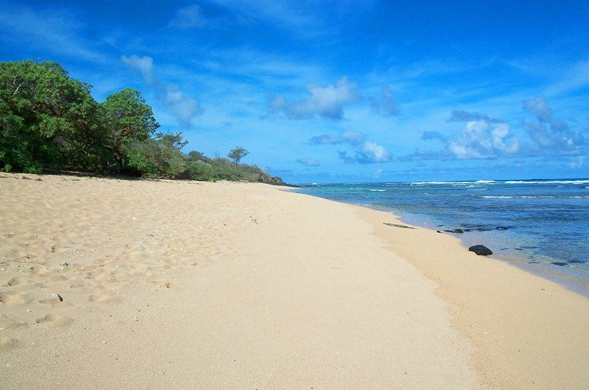 Middle portion of the beach facing north