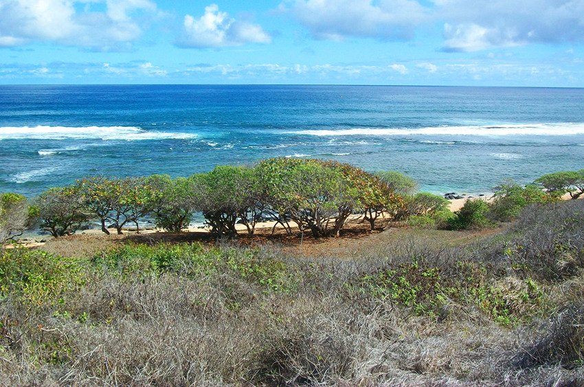 Narrow shoreline